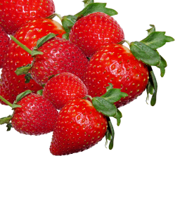 Untitled design (94)